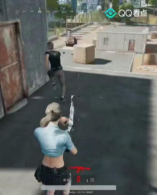 操鸡视频,操鸡视频背后的真相与反思