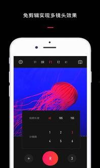 下载vue视频相机软件,轻松实现视频监控与直播的强大工具