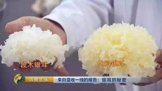 银耳的种植方法视频,从播种到收获的实用指南
